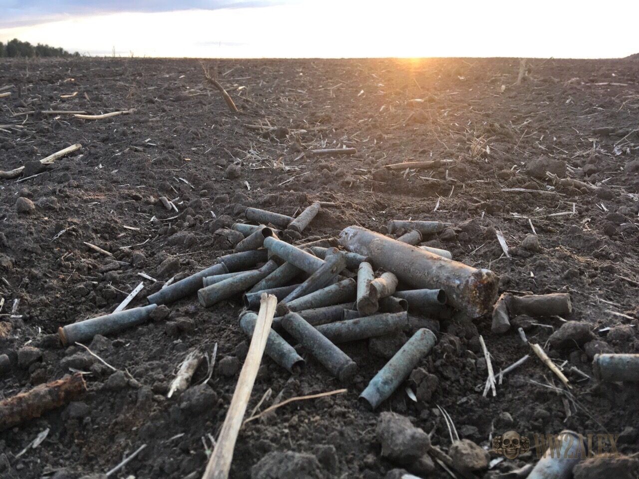 Spent small-arms cartridge cases lying together on the surface of a ploughed field at sunset.