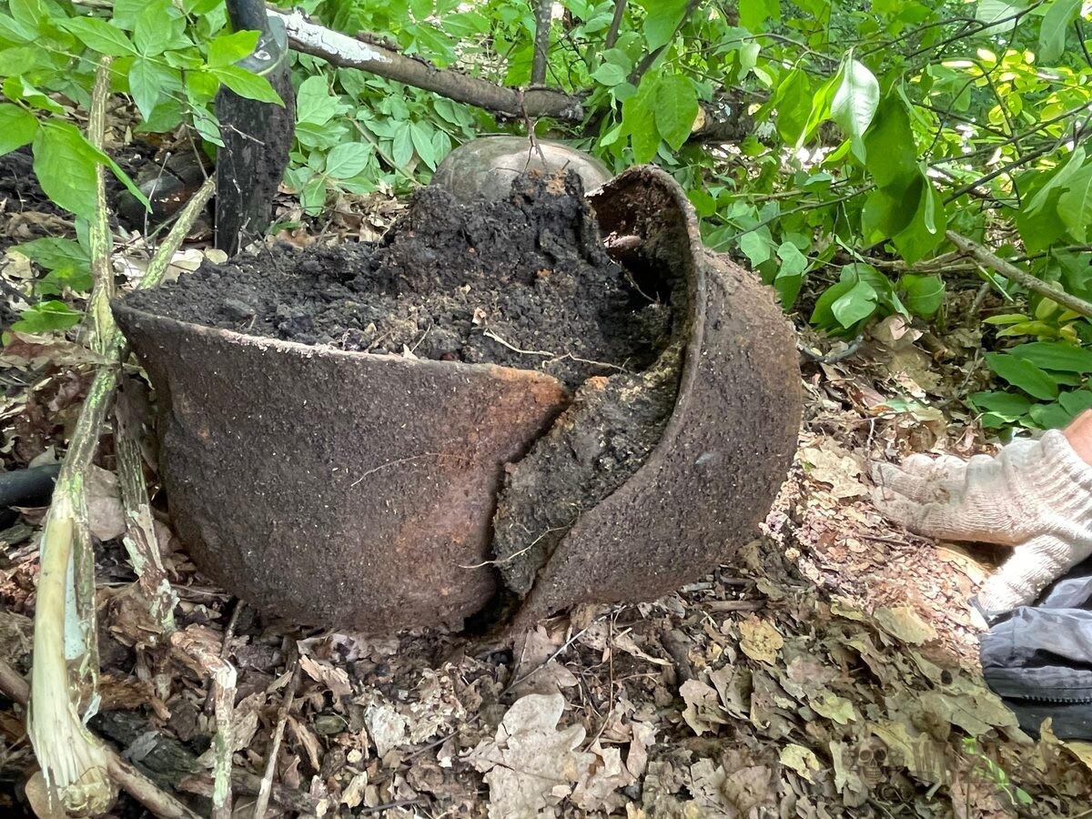 A helmet shell split along one side and still packed with soil, photographed in woodland at the point of recovery.