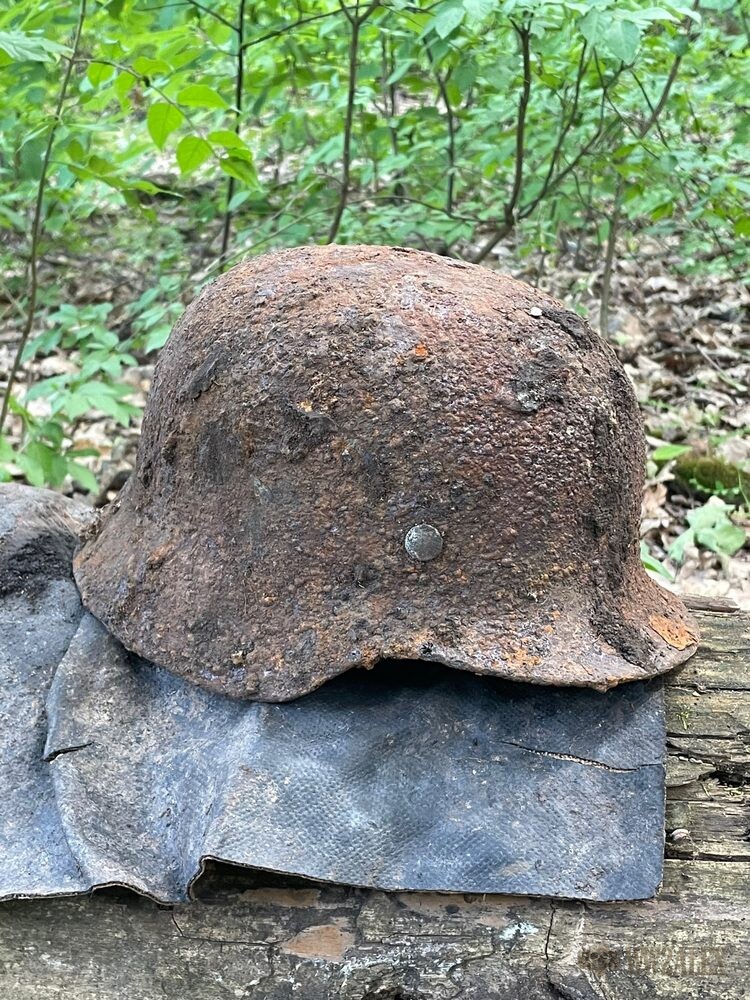 A single heavily pitted helmet shell resting on a dark sheet of perished material on a fallen log, with green woodland behind.