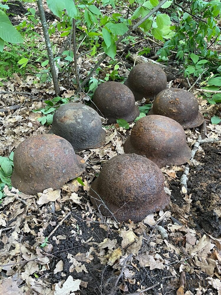 Seven corroded helmet shells arranged together on leaf litter in summer woodland.