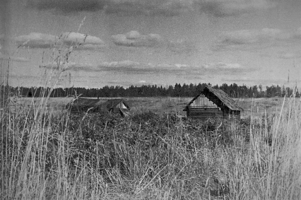 The village of Chernushki in 1944